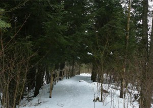 sentier_tolbat111