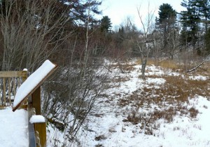 sentier_tolbat9